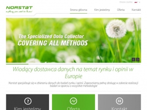 Profesjonalne badania rynku dla dużych i małych firm